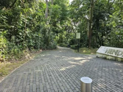 Henderson Waves Svg+xml,%3Csvg%20xmlns%3D%22http%3A%2F%2Fwww.w3