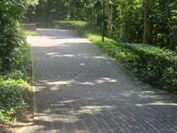 Henderson Waves Svg+xml,%3Csvg%20xmlns%3D%22http%3A%2F%2Fwww.w3