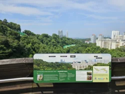 Henderson Waves Svg+xml,%3Csvg%20xmlns%3D%22http%3A%2F%2Fwww.w3