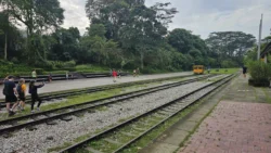 Bukit Timah Railway Station bukit timah railway station 25