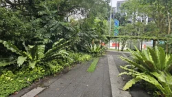 Bukit Timah Railway Station bukit timah railway station 3