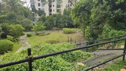 Upp Bukit Timah Truss Bridge bukit timah truss bridge 2