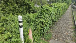 Upp Bukit Timah Truss Bridge bukit timah truss bridge 3