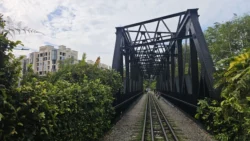 Upp Bukit Timah Truss Bridge bukit timah truss bridge 7