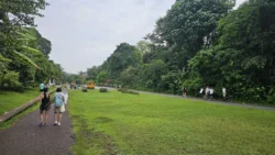 Bukit Timah Railway Station rail corridor (bukit timah) 1