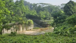 Bukit Timah Railway Station rail corridor (bukit timah) 11