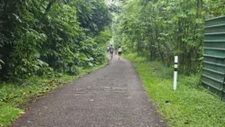 Bukit Timah Railway Station rail corridor (bukit timah) 12