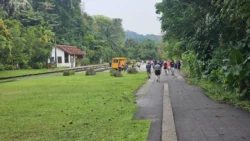 Bukit Timah Railway Station rail corridor (bukit timah) 13