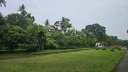 Bukit Timah Railway Station rail corridor (bukit timah) 14