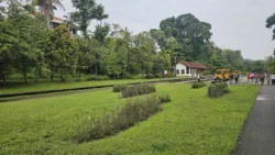 Bukit Timah Railway Station rail corridor (bukit timah) 15