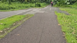 Bukit Timah Railway Station rail corridor (bukit timah) 3