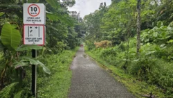 Bukit Timah Railway Station rail corridor (bukit timah) 6
