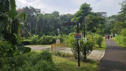 Bukit Timah Railway Station rail corridor (bukit timah) 7