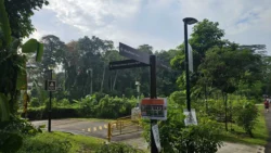 Bukit Timah Railway Station rail corridor (bukit timah) 8
