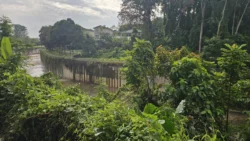 Bukit Timah Railway Station rail corridor (bukit timah) 9