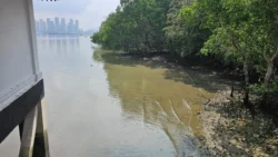 Lim Chu Kang Nature Park (Cashin House) cashin house 11