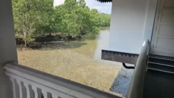 Lim Chu Kang Nature Park (Cashin House) cashin house 12