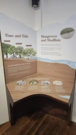 Lim Chu Kang Nature Park (Cashin House) cashin house 21