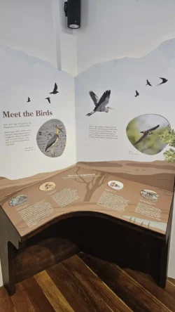 Lim Chu Kang Nature Park (Cashin House) cashin house 22