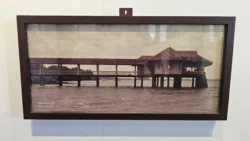 Lim Chu Kang Nature Park (Cashin House) cashin house 24