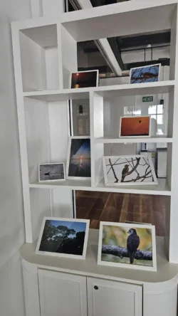 Lim Chu Kang Nature Park (Cashin House) cashin house 28