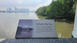 Lim Chu Kang Nature Park (Cashin House) cashin house 41