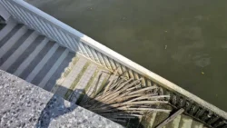 Lim Chu Kang Nature Park (Cashin House) cashin house 44