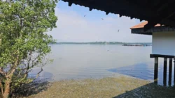 Lim Chu Kang Nature Park (Cashin House) cashin house 8