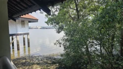 Lim Chu Kang Nature Park (Cashin House) cashin house 9