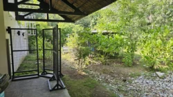 Lim Chu Kang Nature Park (Cashin House) cashin house (external) 11