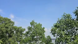 Lim Chu Kang Nature Park (Cashin House) cashin house (external) 13