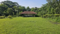 Lim Chu Kang Nature Park (Cashin House) cashin house (external) 15