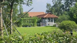 Lim Chu Kang Nature Park (Cashin House) cashin house (external) 7