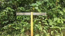 Rail Mall hume avenue 3