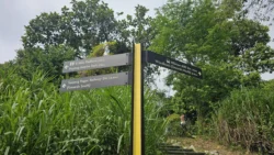 Rail Mall hume avenue 6