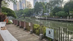 Kallang Park Connector kallang park connector 5