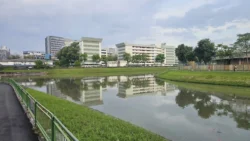 Kallang River kallang river (upper boon keng) 1