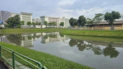 Kallang River kallang river (upper boon keng) 7