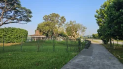 Kranji Reservoir kranji reservoir fishing ground a 2