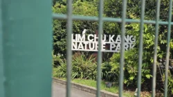 Lim Chu Kang Nature Park (Cashin House) lim chu kang nature park 1