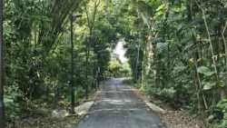 Lim Chu Kang Nature Park (Cashin House) lim chu kang nature park 14