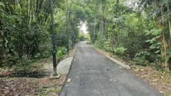 Lim Chu Kang Nature Park (Cashin House) lim chu kang nature park 9