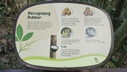 Lim Chu Kang Nature Park (Cashin House) signage 4