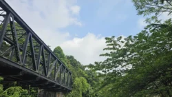 Rail Mall the rail mail 18