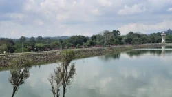 Upper Seletar Reservoir upper seletar reservoir (mandai road) 3