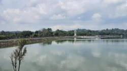 Upper Seletar Reservoir upper seletar reservoir (mandai road) 4