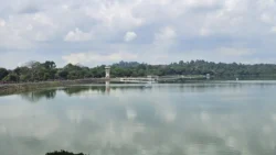 Upper Seletar Reservoir upper seletar reservoir (mandai road) 5