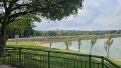 Upper Seletar Reservoir upper seletar reservoir (mandai road) 6