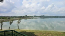 Upper Seletar Reservoir upper seletar reservoir (mandai road) 7