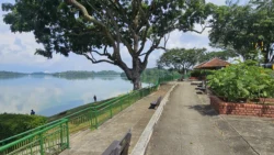 Upper Seletar Reservoir upper seletar reservoir (mandai road) 8